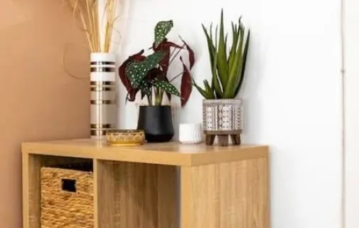 Location Villeurbanne Appartement 69a73bd8c2c0