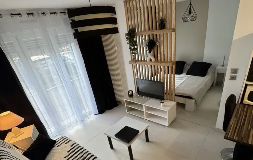 Location Nancy Appartement 69a86d118d9a