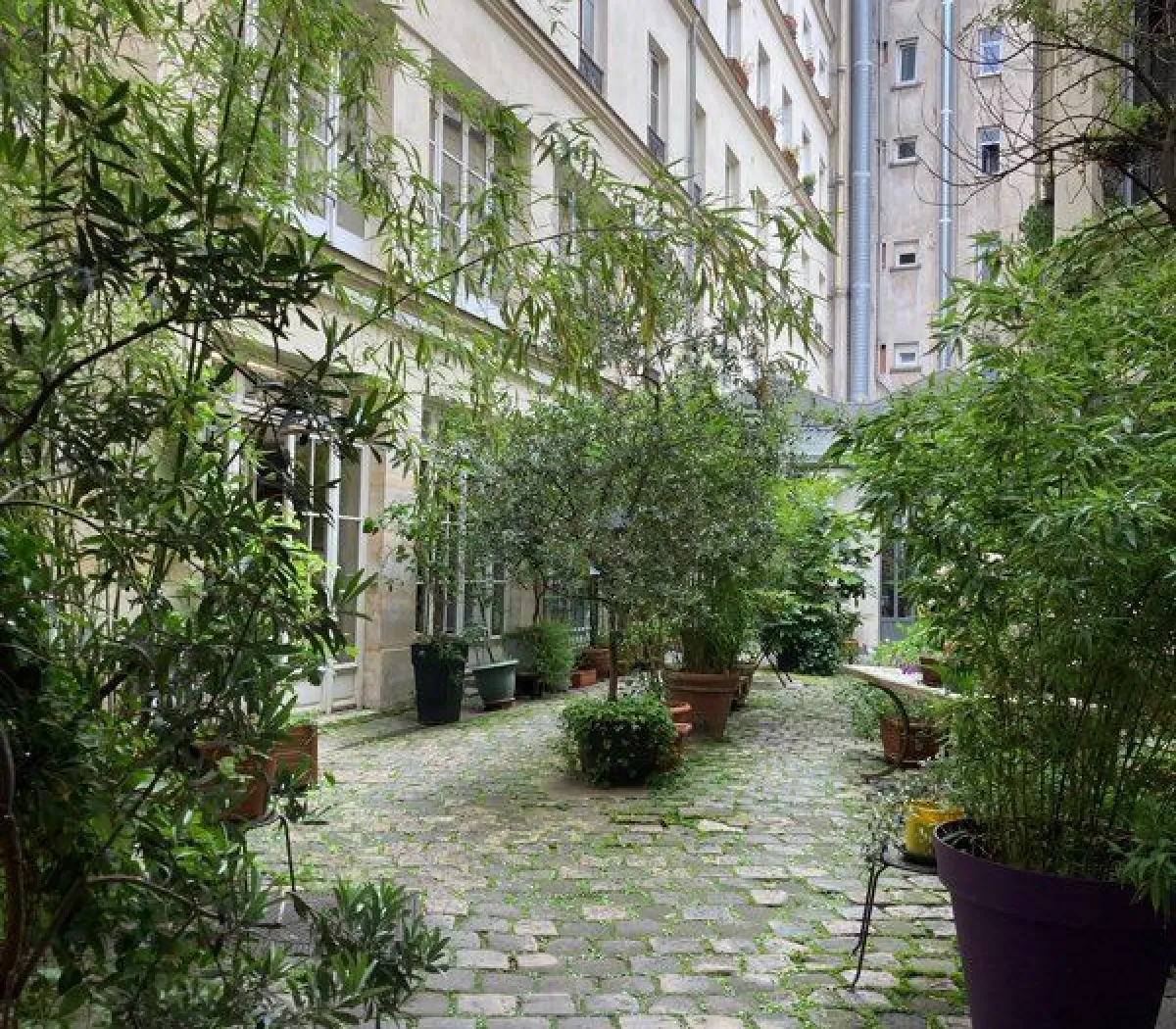 Location Paris Appartement 69a8a84349af