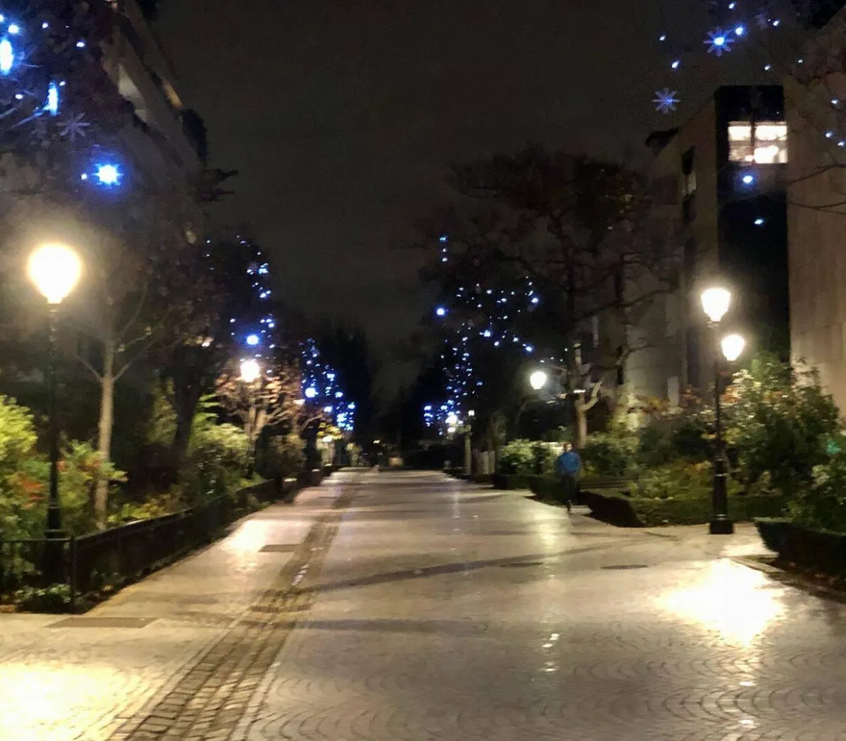 Location Levallois-Perret Appartement 69a942fa696f