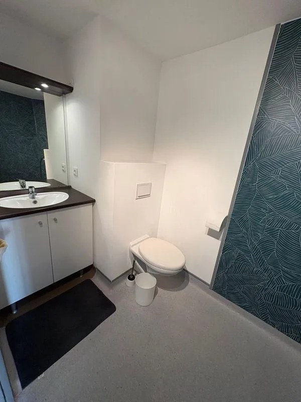 Location Villeurbanne Appartement 69a94c0540a6