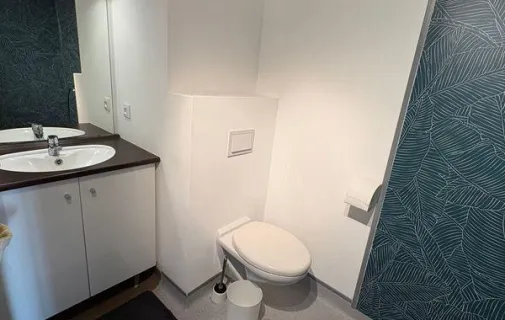 Location Villeurbanne Appartement 69a94c0540a6