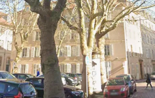Location Metz Appartement 69a9ed2b65d8