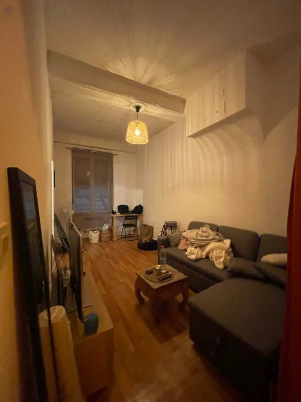 Location Lyon Appartement 69ab35836dea