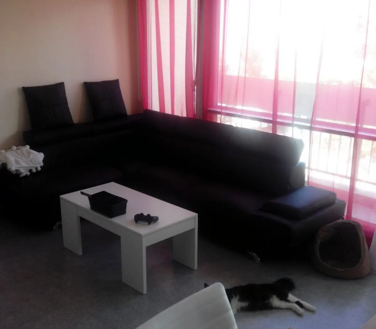 Location Angers Appartement 69ab38e352f3