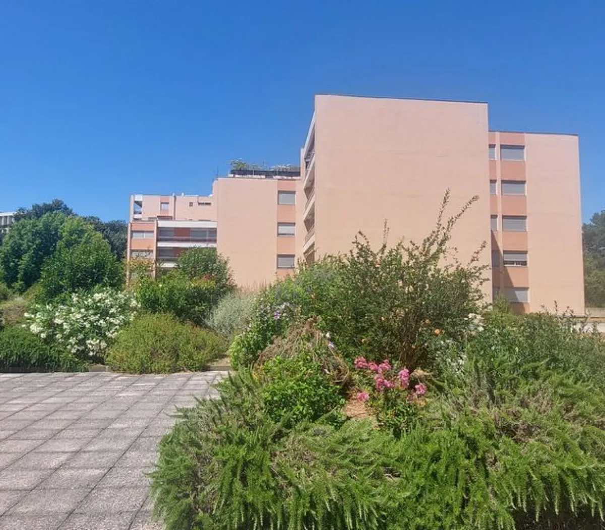 Location Toulouse Appartement 69ab43fabd84