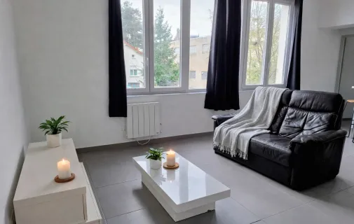 Location Roanne Appartement 69ac58a5317e