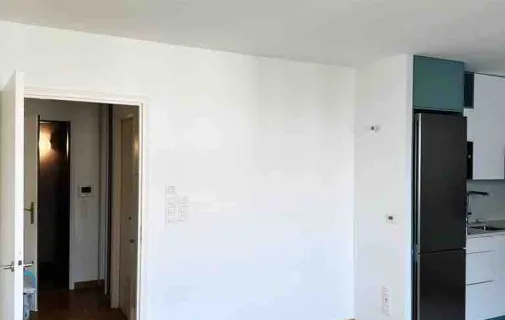 Location Issy-les-Moulineaux Appartement 69ad3a0d2b0b