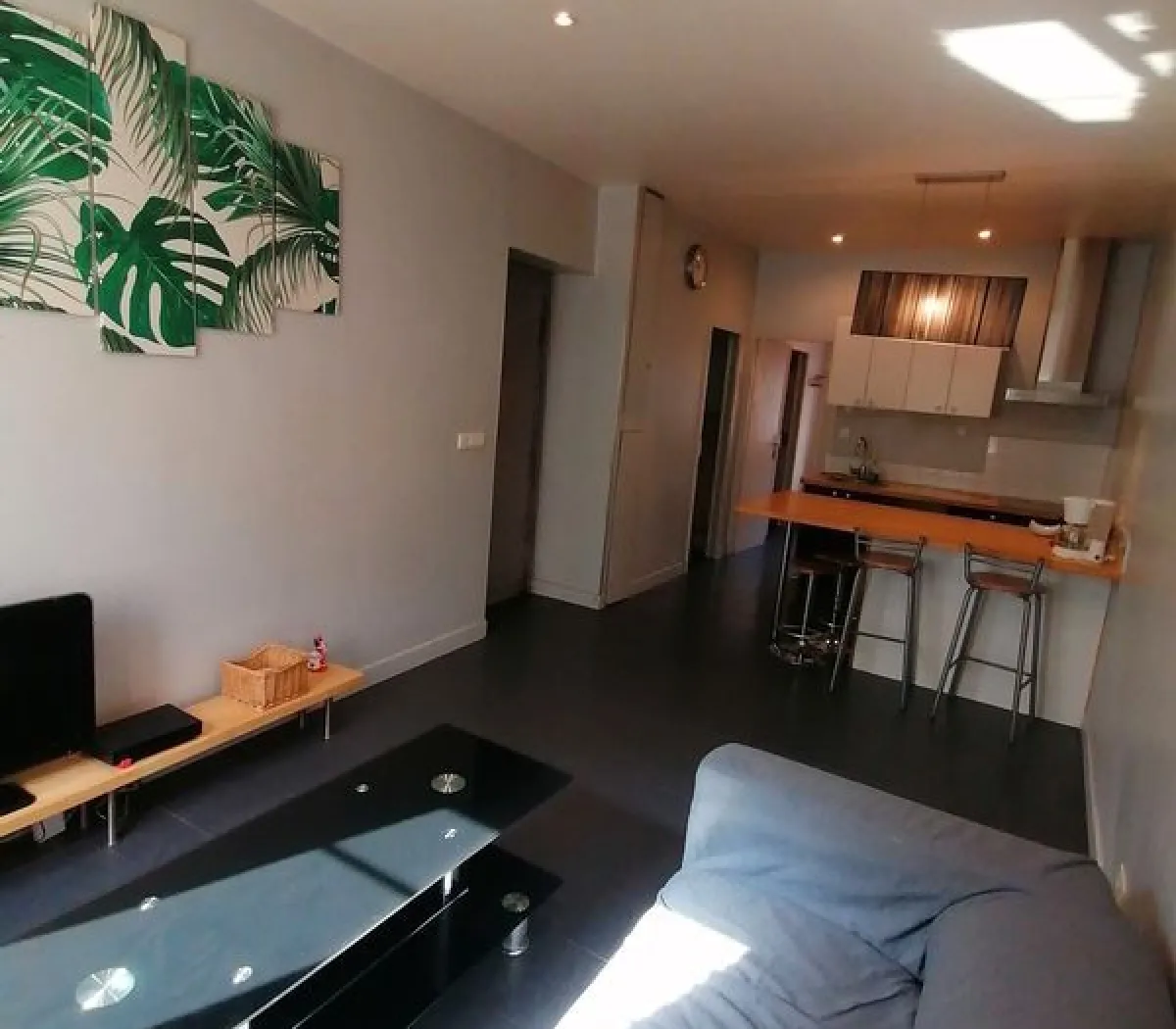 Location Lyon Appartement 69af54073ca0