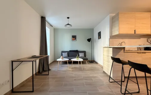 Location Lyon Appartement 69b03283a4d7