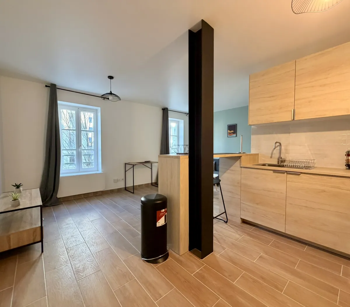 Location Lyon Appartement 69b03283a4d7