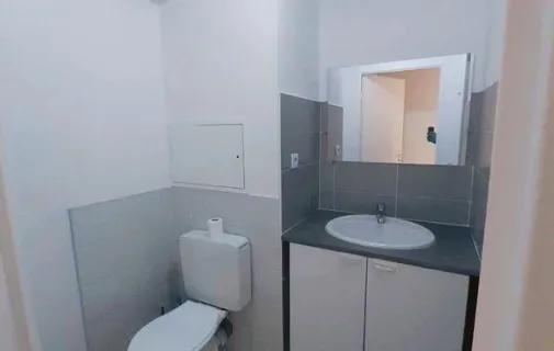 Location Lyon Appartement 69b13d676b9c