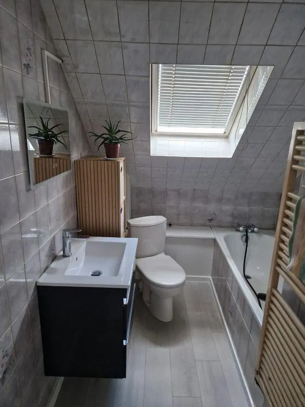 Location Mulhouse Appartement 69b2cf6f13c9