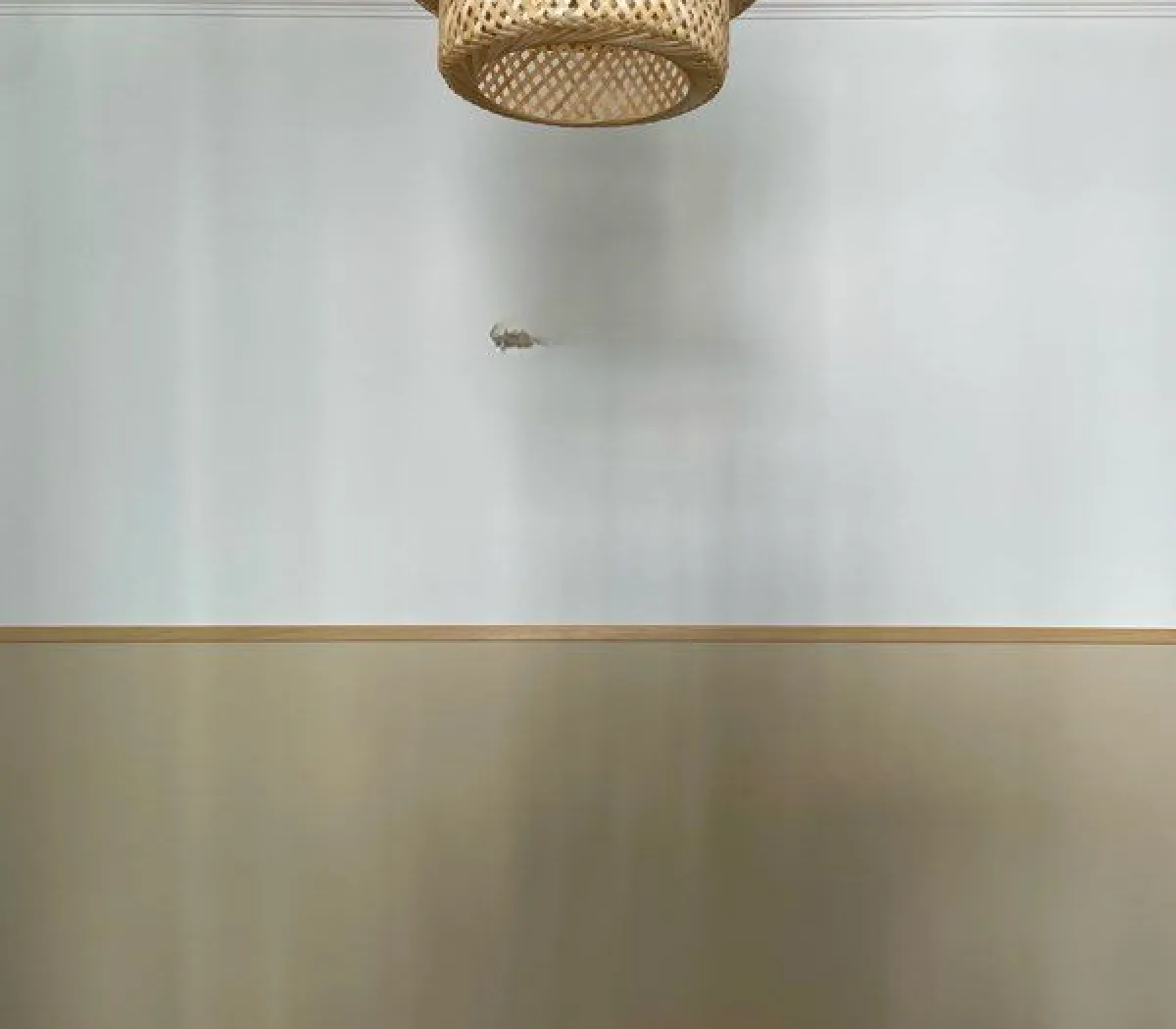 Location Nancy Appartement 69b939441a4a