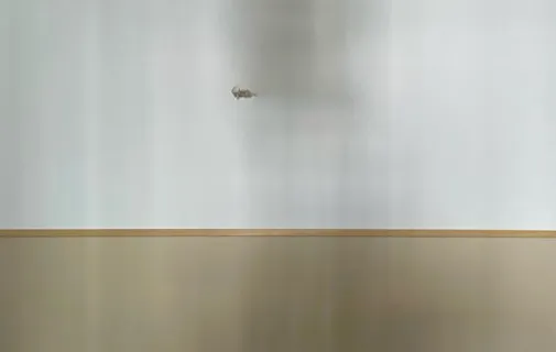 Location Nancy Appartement 69b939441a4a