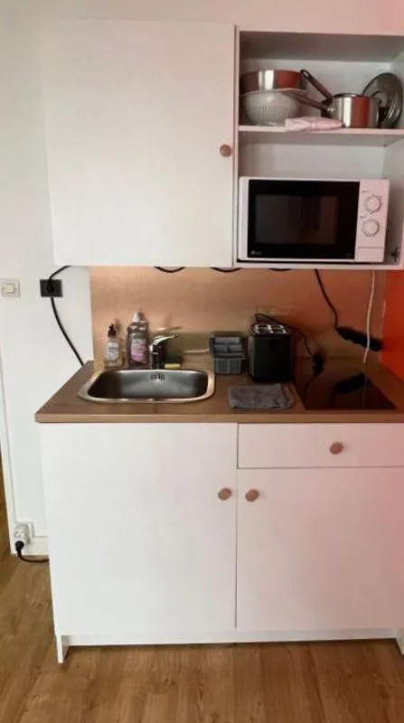 Location Lyon Appartement 69b93a0b15fb