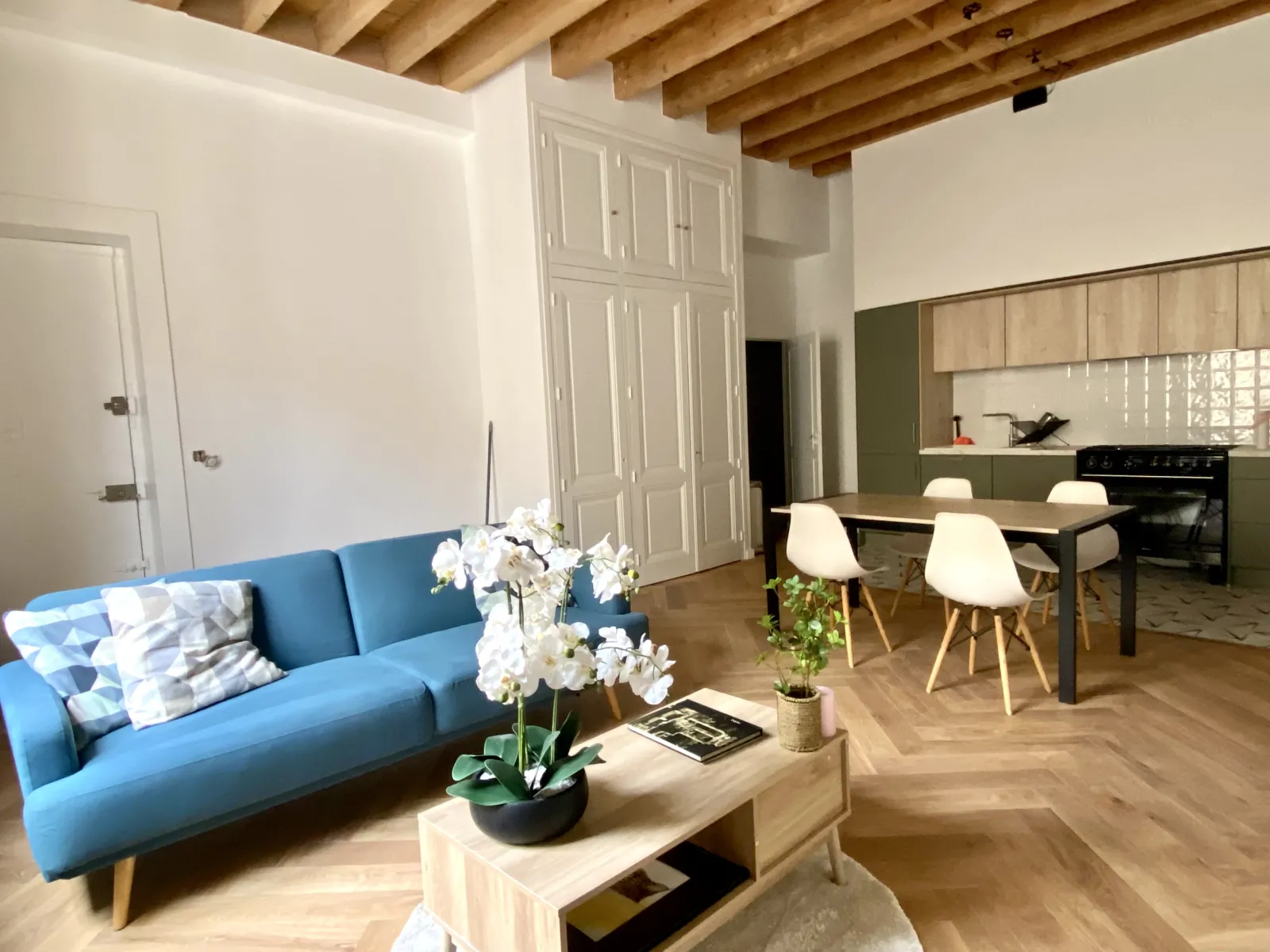 Location Lyon Appartement 69ba74cce6f1