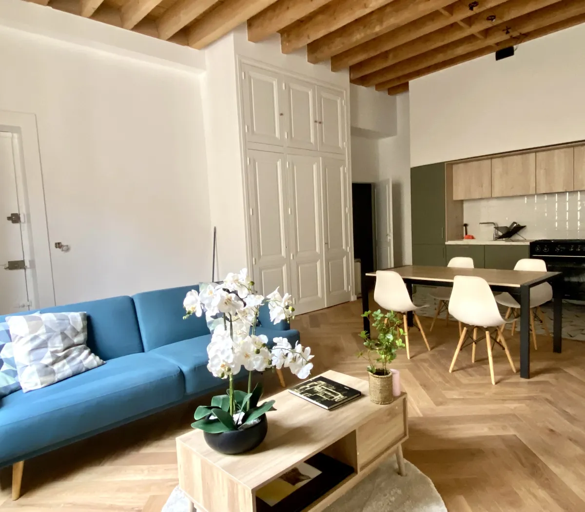 Location Lyon Appartement 69ba74cce6f1