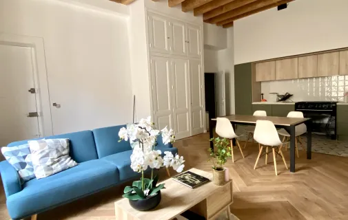 Location Lyon Appartement 69ba74cce6f1