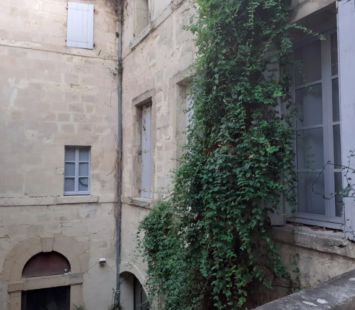 Location Montpellier Appartement 69bac635537c