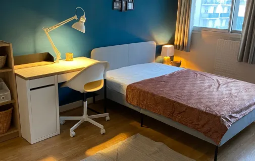 Location Villeurbanne Chambre 69bbcbbf8ab4