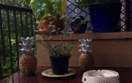 Location Mérignac Appartement 69c41d678e16