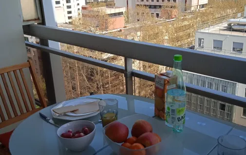 Location Lyon Appartement 69c785ea0ae6