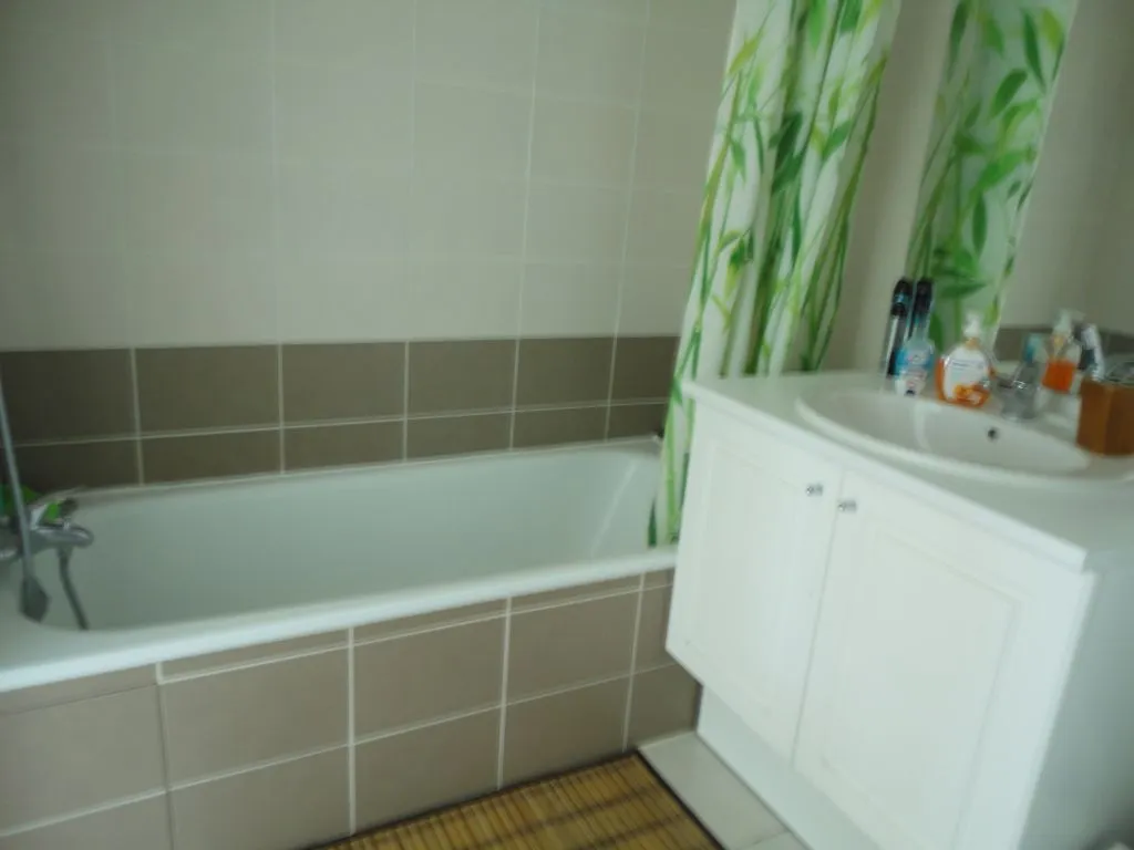 Location Grenoble Appartement 69c836597414