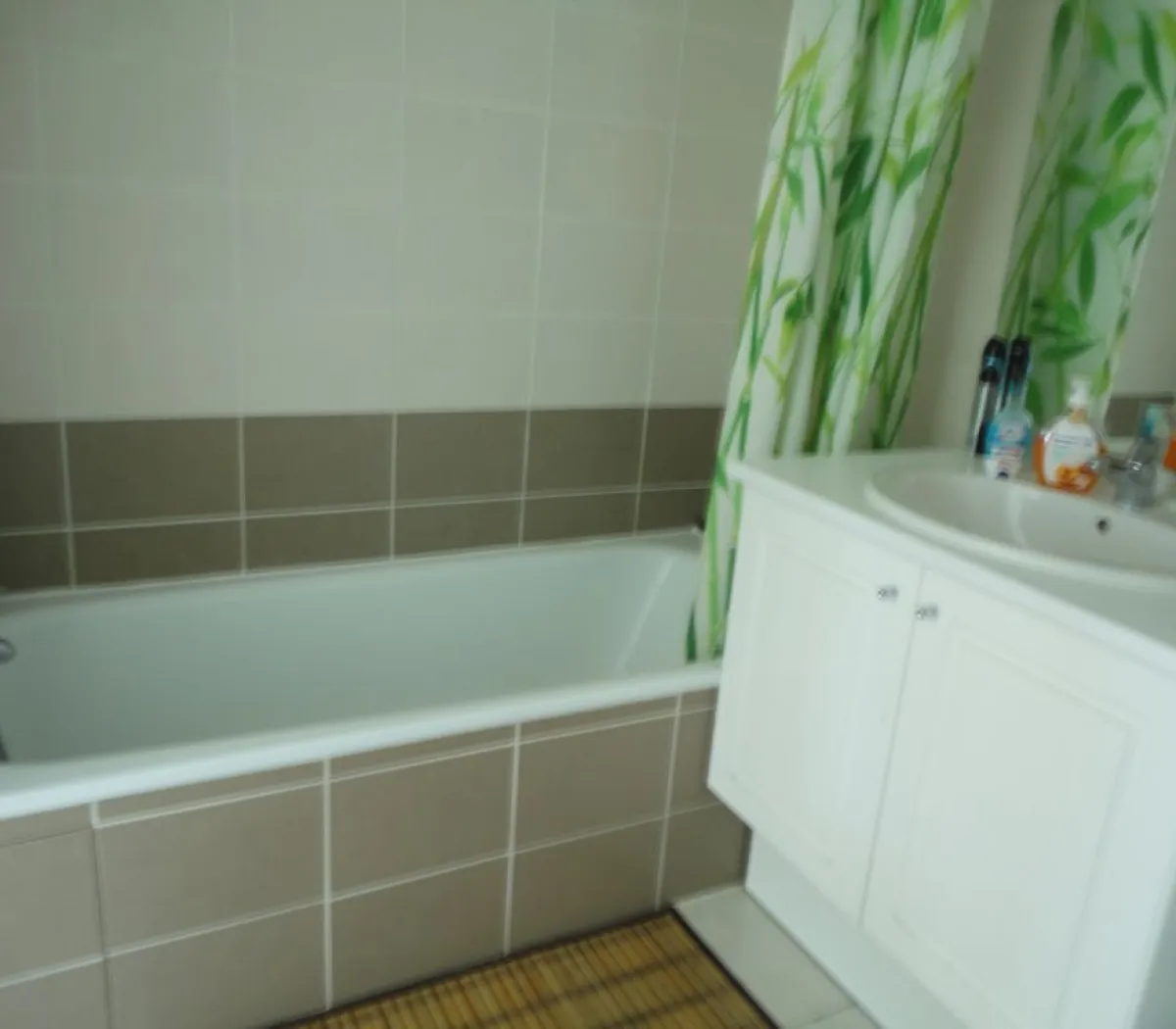 Location Grenoble Appartement 69c836597414