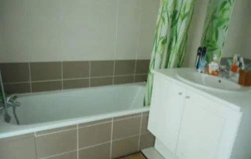 Location Grenoble Appartement 69c836597414