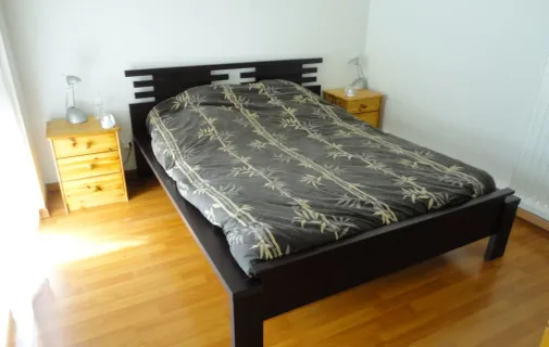 Location Grenoble Appartement 69c836597414