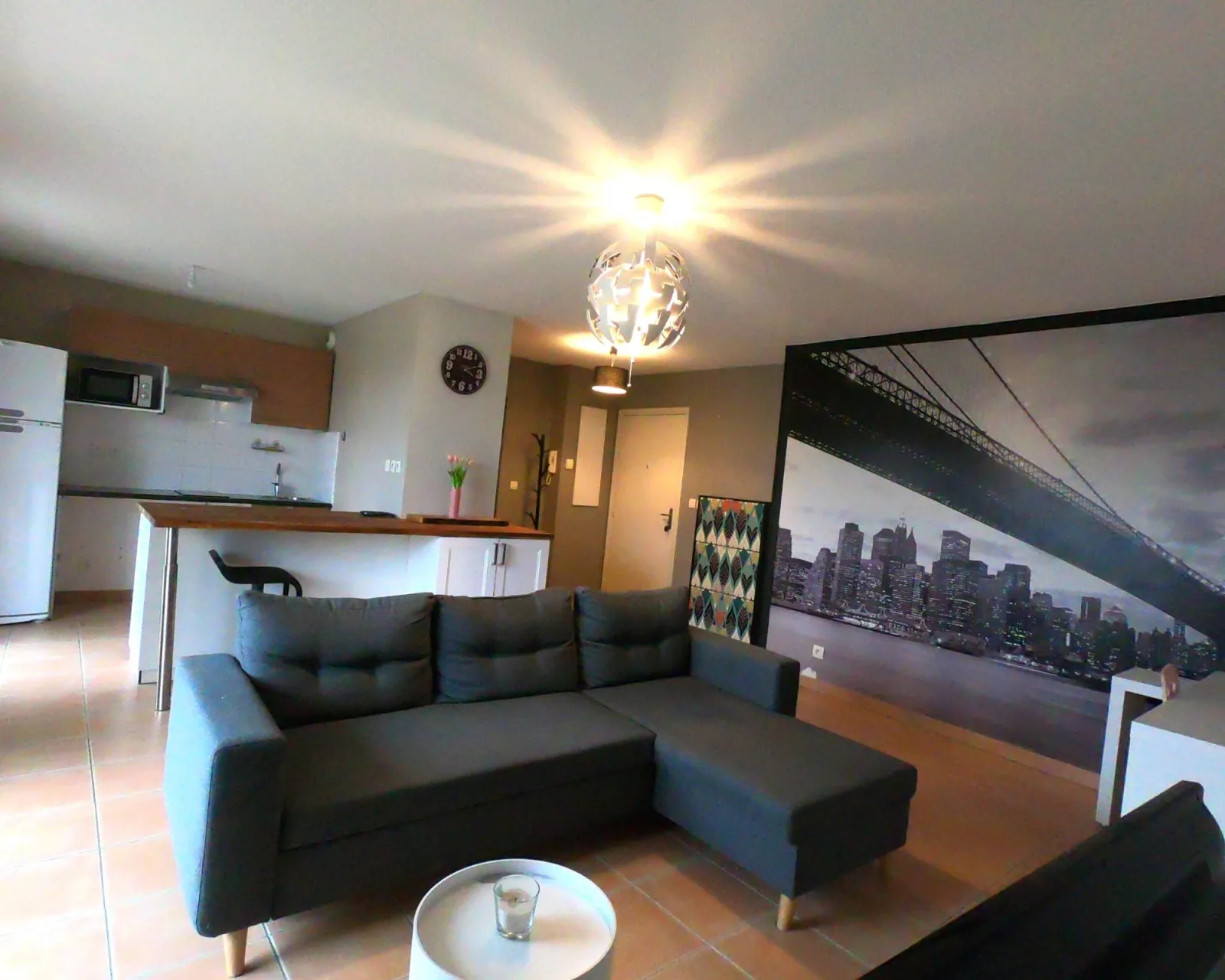 Location La Salvetat-Saint-Gilles Appartement 69c84648ab2d