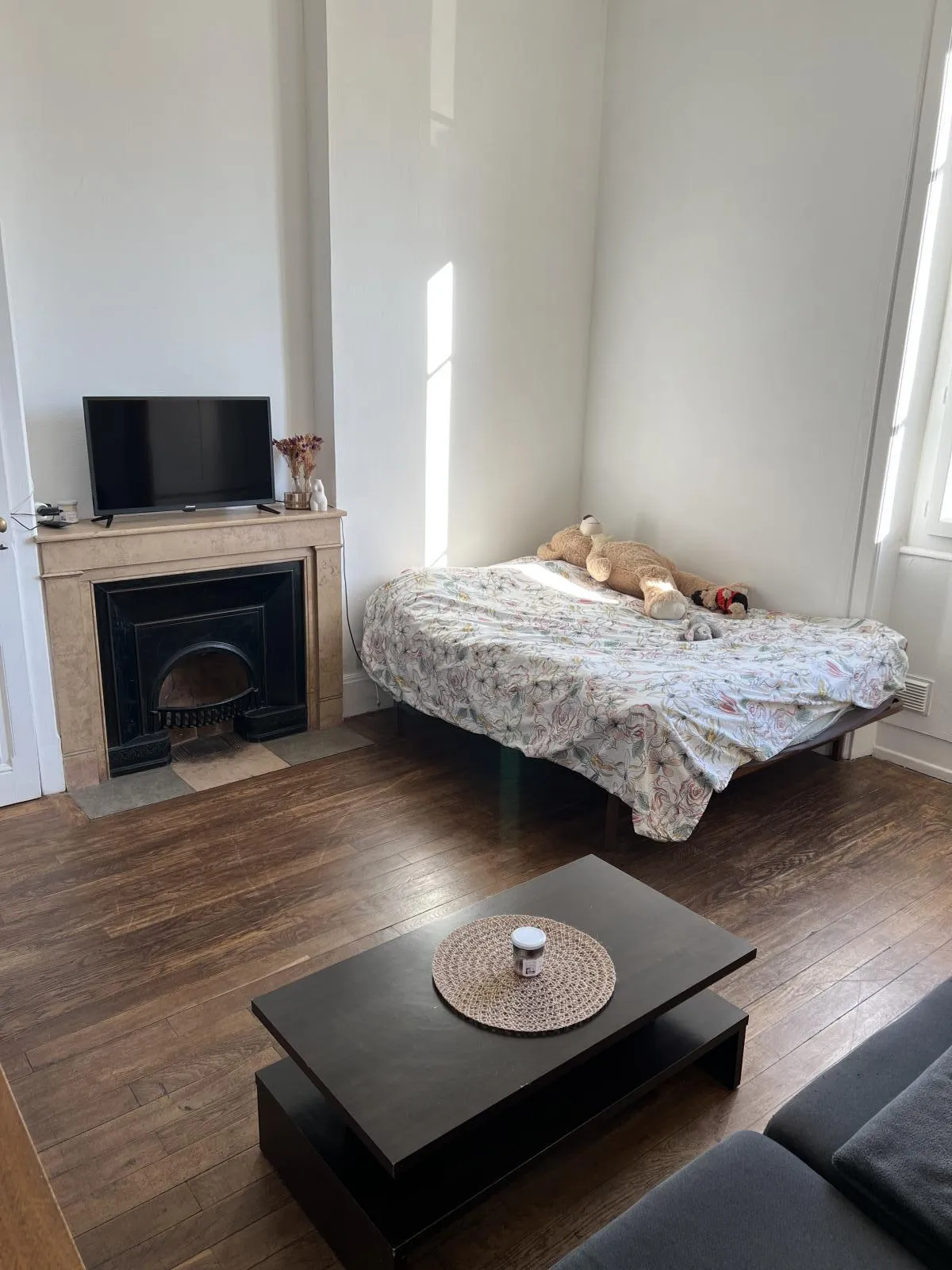 Location Villeurbanne Appartement 69cfc713c091