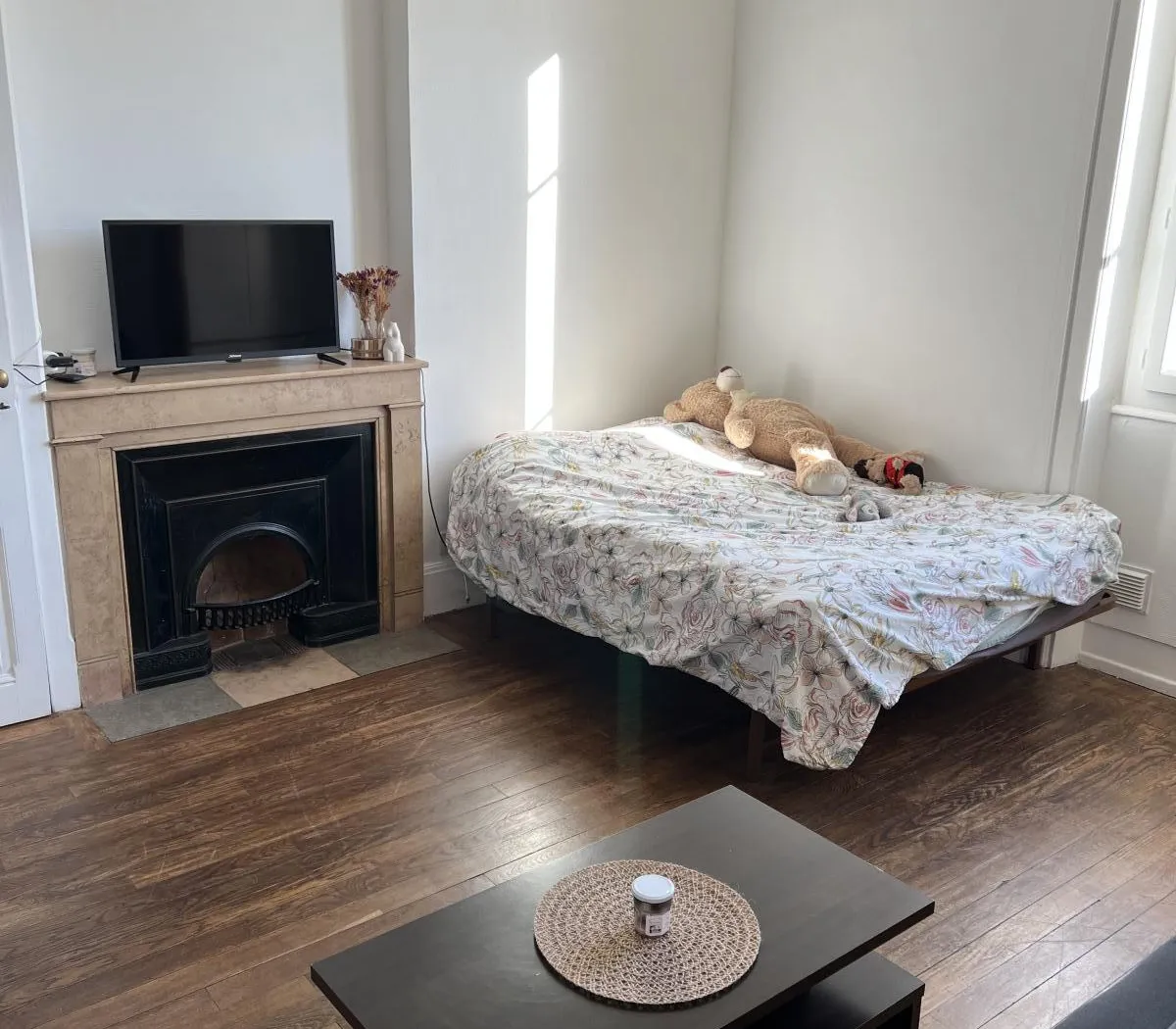 Location Villeurbanne Appartement 69cfc713c091