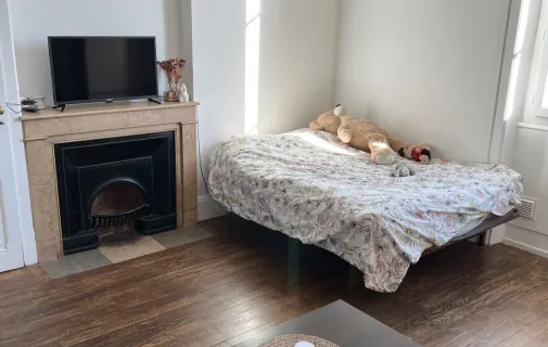 Location Villeurbanne Appartement 69cfc713c091