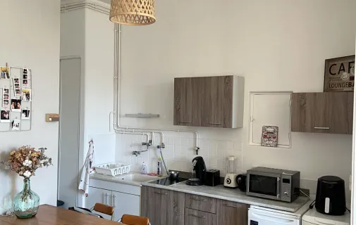 Location Villeurbanne Appartement 69cfc713c091