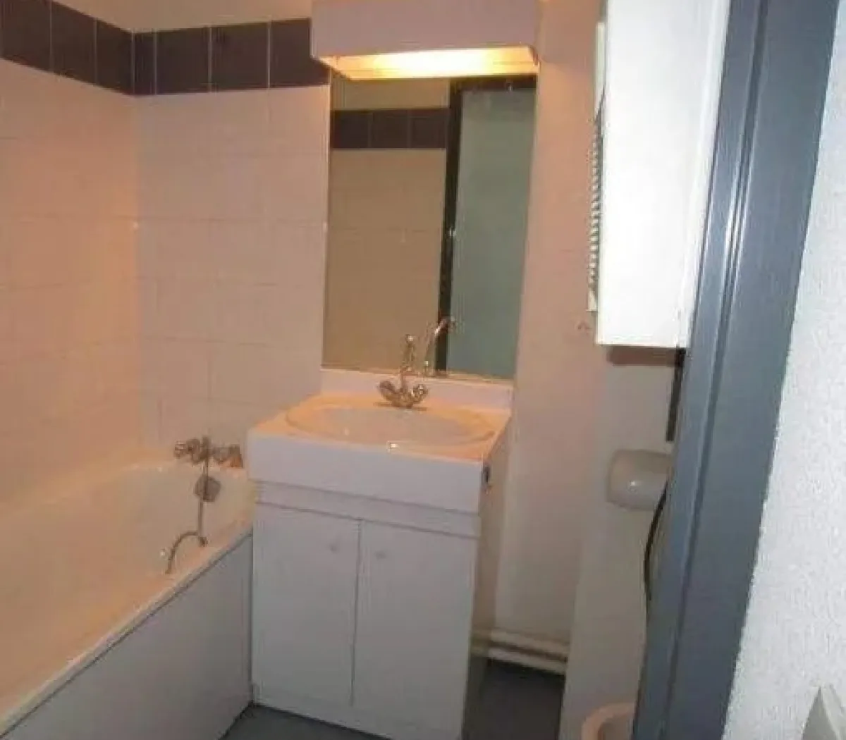 Location Villeurbanne Appartement 69d8c46f22fa