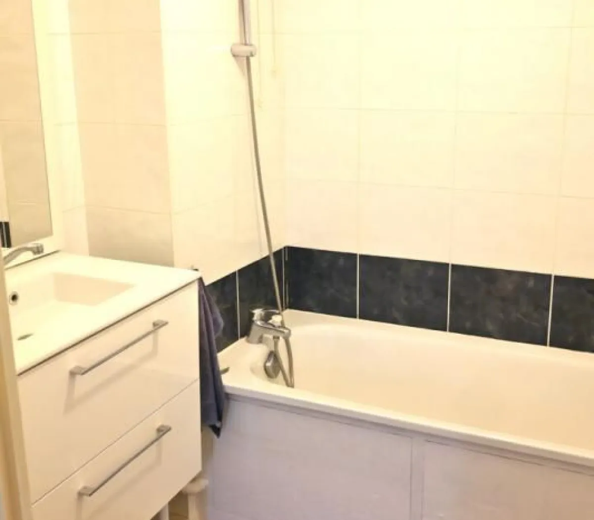 Location Maisons-Alfort Appartement 69de6025e9c7