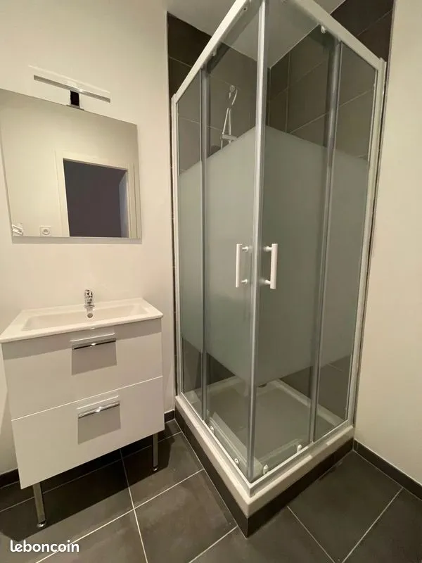 Location Villeurbanne Appartement 69e009101761