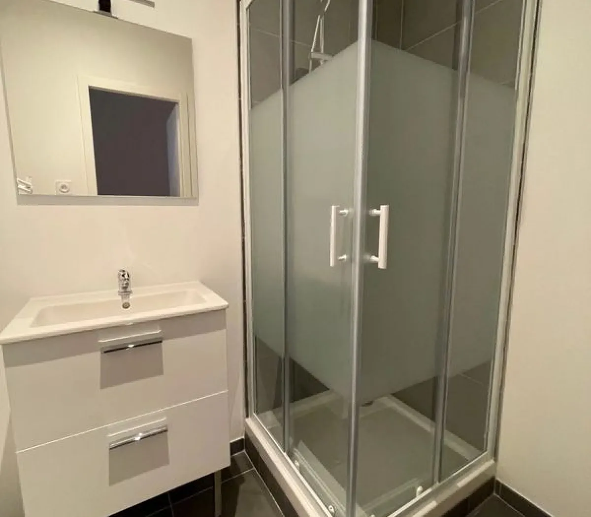 Location Villeurbanne Appartement 69e009101761