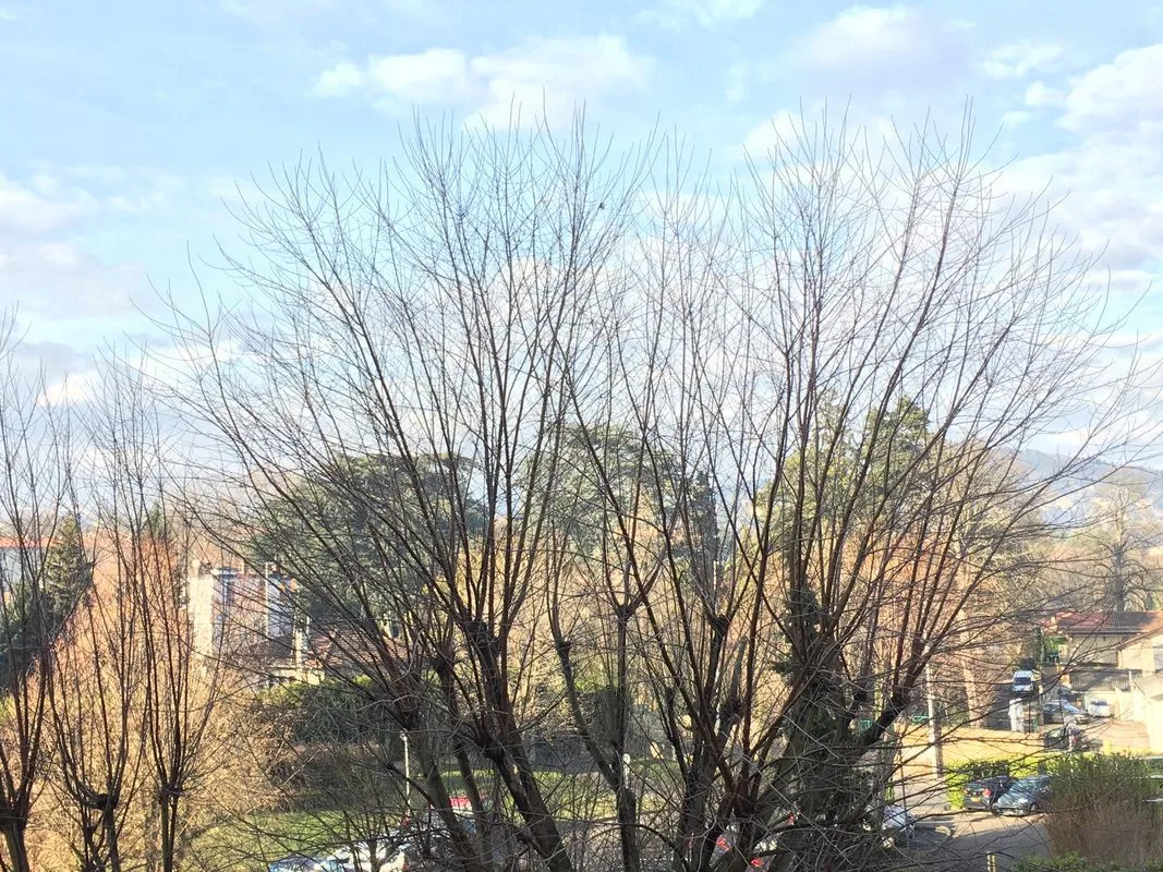 Location Lyon Appartement 69e1f116c109