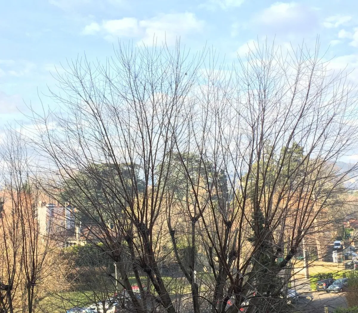 Location Lyon Appartement 69e1f116c109