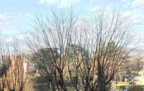 Location Lyon Appartement 69e1f116c109