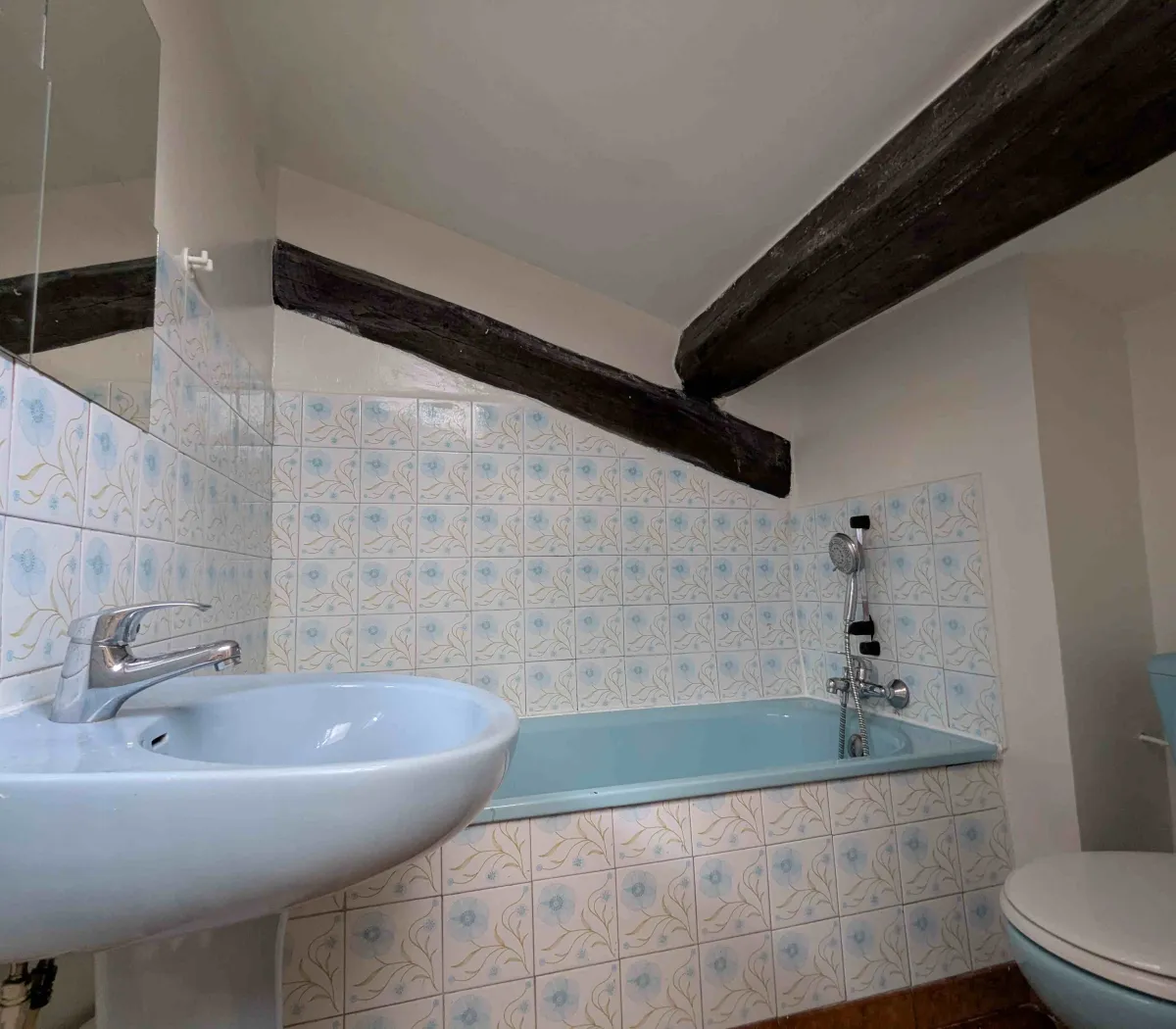 Location Lyon Appartement 69e727133795