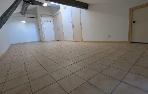 Location Lyon Appartement 69e727133795