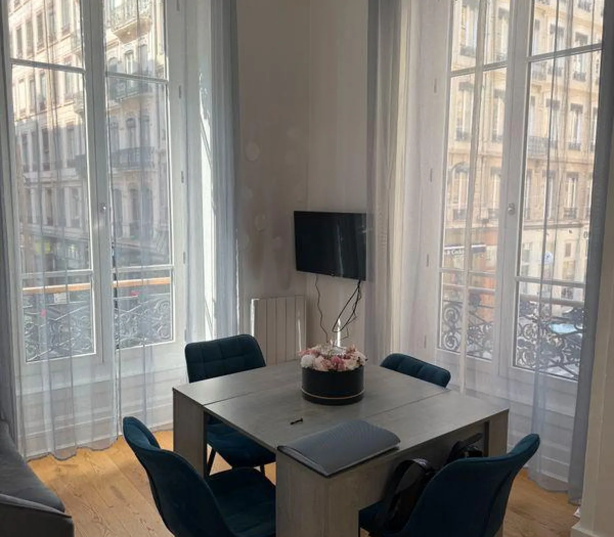 Location Lyon Appartement 69ef6546be2b