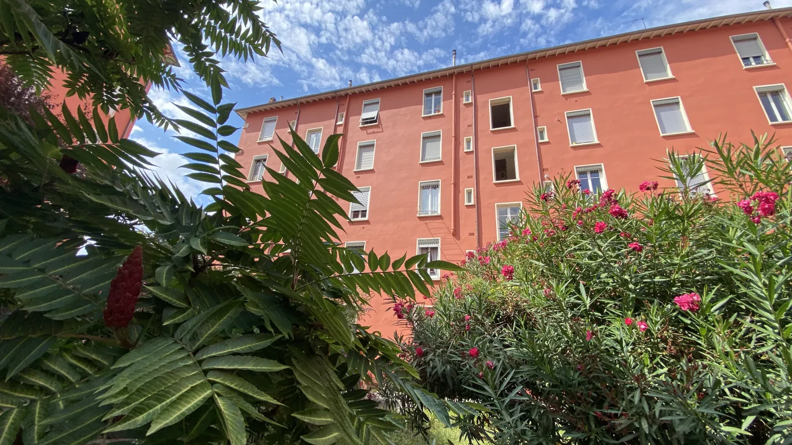 Location Villeurbanne Appartement 69f0cbe4c665