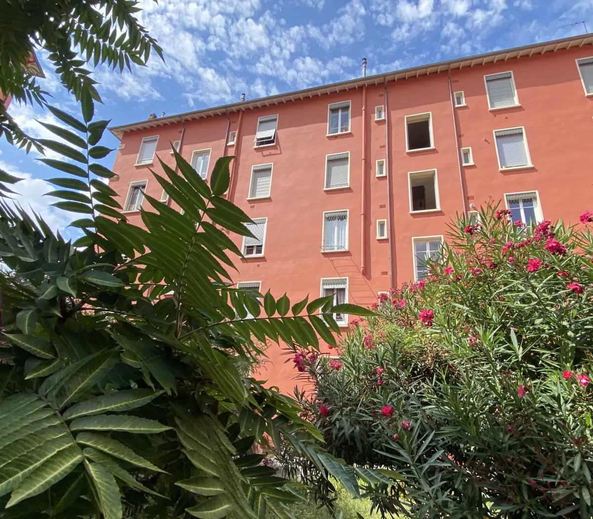 Location Villeurbanne Appartement 69f0cbe4c665