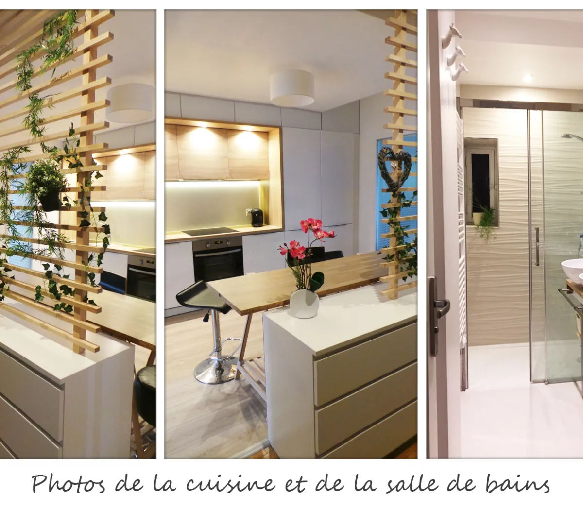 Location Villeurbanne Appartement 69f0cbe4c665