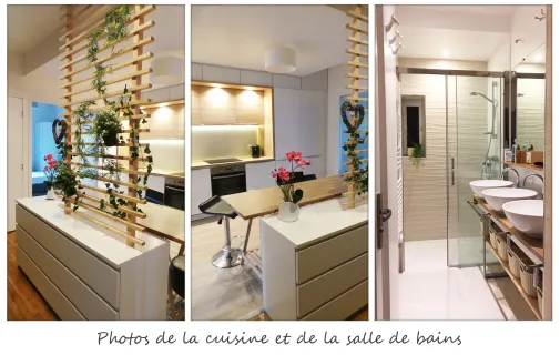 Location Villeurbanne Appartement 69f0cbe4c665